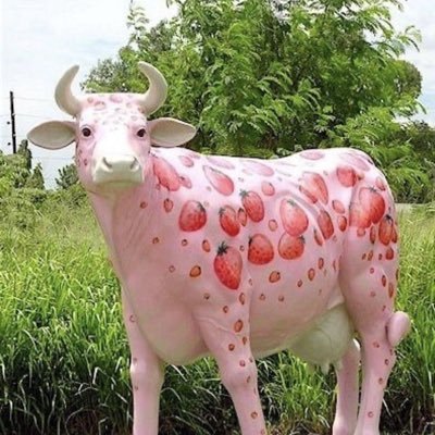 @yourbadcow09