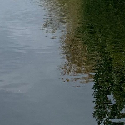 n_vasist's profile picture. 