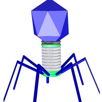 electricbraink's profile picture. 우레!