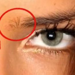 axh1x's profile picture. @adele @thelastkingdom