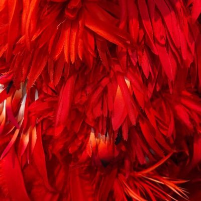 disparatear's profile picture. Fashion Enthusiast and adoring fan of the art. Dumb opinions. Odd ideas. Generally bad follow.