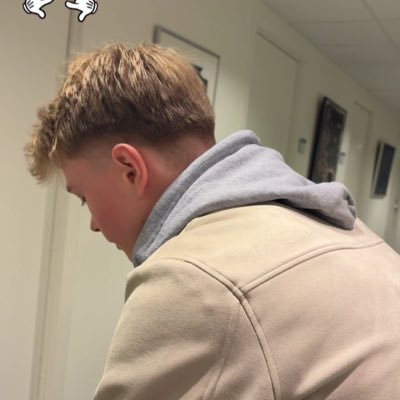 Niclasfv's profile picture. 16/🇳🇴