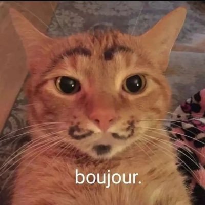 dosmil2020's profile picture. oli