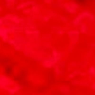 shimooo2040219's profile picture. 