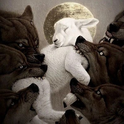 Kallyanackさんのプロフィール画像