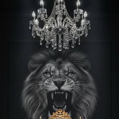 NM401xcff's profile picture. cool