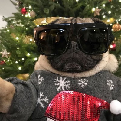 emaperacoc's profile picture. 