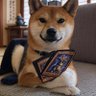 m2hMhyyJhMD8AiI's profile picture. 6cm。 MTGと釣りと柴犬が大好き♪ レガシー(マーフォーク)、モダン(マーフォーク)、パイオニア(マーフォーク)、パウパー、ミドルスクール、旧枠モダンで遊んでいます！