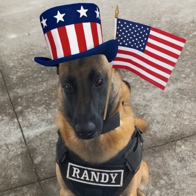 StaticcsSOL's profile picture. just a chill chud @TrenchGrinders