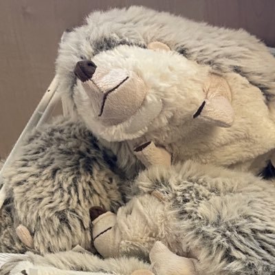 oncepowerout's profile picture. they/them 🏳️‍🌈🏳️‍⚧️ shipper 💙 雑食 🦦 20↑🫀 地 🕛🐯 🔮🌪️ 🏍️🌪️I‘m not a suspicious account（ ; ; ） (翻訳機を使ったので、間違いがあったらごめんなさい）learning languages…