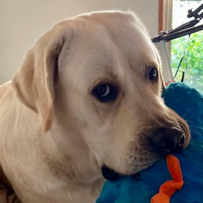 VDMA1517's profile picture. 