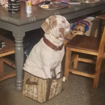 prz28320's profile picture. 