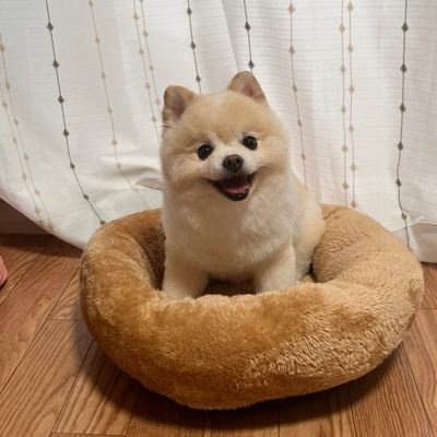 ytLt3wzt5gNUQeF's profile picture. ナヨンちゃんが大好きです。懐かしい写真・新しい写真・情報・アーカイブが出ましたら・お願いします。桂二葉さんの落語が大好きです。渋めですが・前川清さんが大好きです。旅好き情報下さい。もうすぐ始まるTWICEの・ツアー情報なども有りましたら・お願いします。可愛い犬・猫自慢も❤