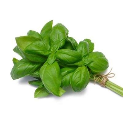 mukharref's profile picture. 
