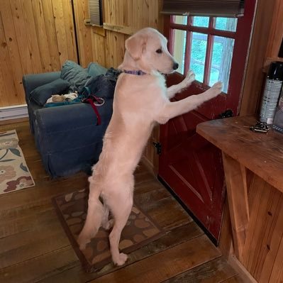 jms3488's profile picture. 