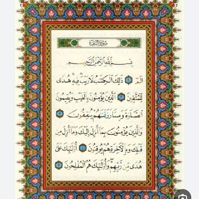 Riyad6203441274's profile picture. 