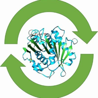 MatteoDamian3's profile picture. 