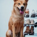 Bruff Tiffani - @BruffT81313 - Twitter