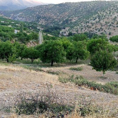 kefiiiiiii55202's profile picture. 