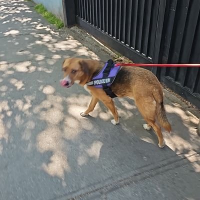 Aleale345706's profile picture. 