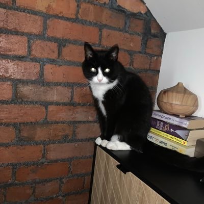 emma_ese67's profile picture. 