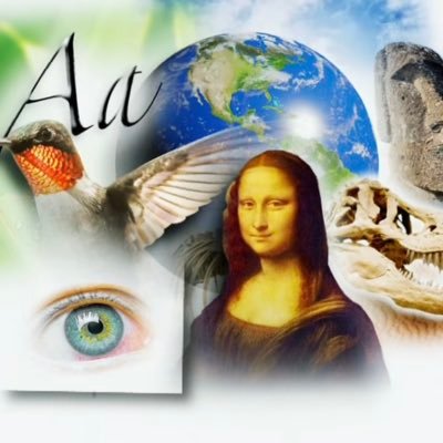 axxis_dot_gif's profile picture. 