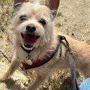 Robert Covington - @RZ500Rob - Twitter