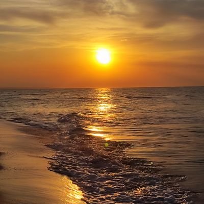 scaranluca's profile picture. 🐦‍🔥 Melior de cinere surgo