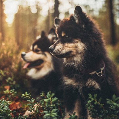 BankardR53204's profile picture. 