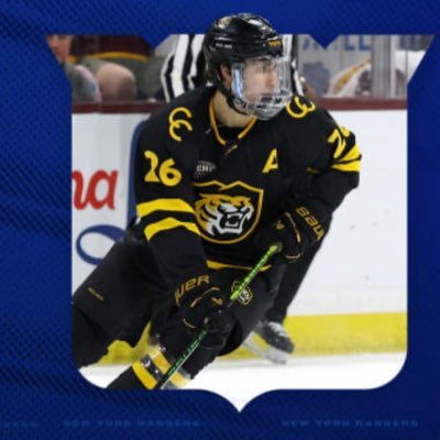 RamonesFan41's profile picture. Nothing to report. Views are mine alone. #NYR Anti-Communist. #NYM