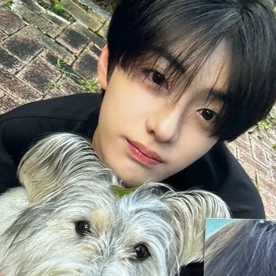 sas_aii's profile picture. brondong jaya jaya!!! 
#정상현