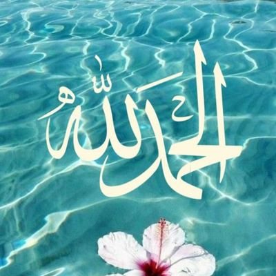 dr932at's profile picture. محب_الخير