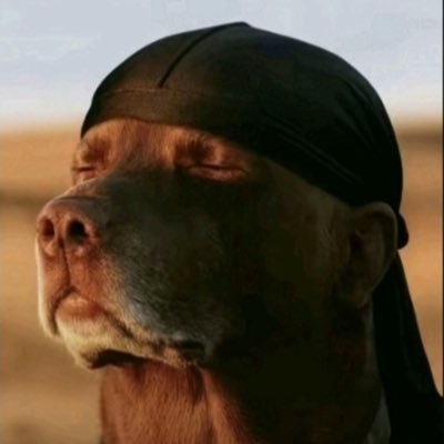 KinggfamRW's profile picture. Current title: None || Fed: DXW, Defy, NGW, etc. || Current title reign: N/A || Name: King Williams, King Doc, KingGOAT ||
