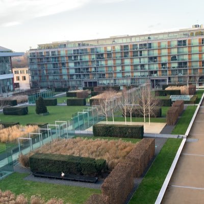 WillHollier1's profile picture. are you dancing?