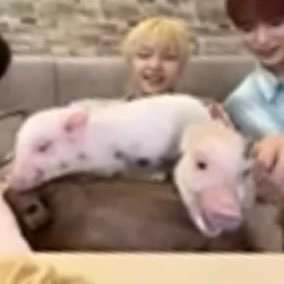 25I333's profile picture. 