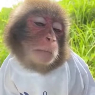 whatupbaitch's profile picture. don’t follow me, i’m lost too
