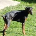 Zoe Xavier - @ZoeXavier143518 - Twitter