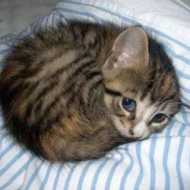 FabrizioMe44900's profile picture. ola q hace