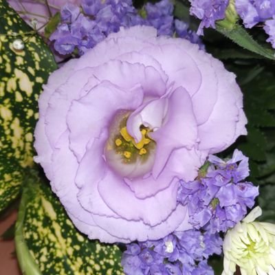 nA7892NciUCPULr's profile picture. 使い方もわからないまま、山本太郎さんの演説を聞いて、情報を得たくて、支持者と繋がりたくてTwitterを始めました。
独りで始めた #れいわピンク運動 ！選挙の時はピンクの服を着て応援します。山本太郎さんの勇気を身にまとい、毎日政治の話を誰かとしています。#れいわフレンズ
※副業や投資には興味なし&フォローもなし