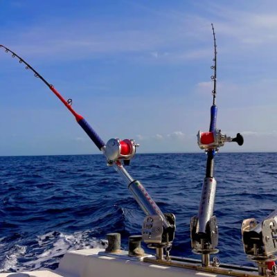 RBRNet13's profile picture. Caedite eos. Novit enim Dominus qui sunt eius.