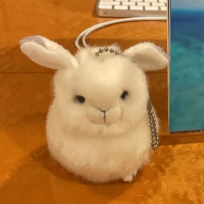 JiaBen19533's profile picture.