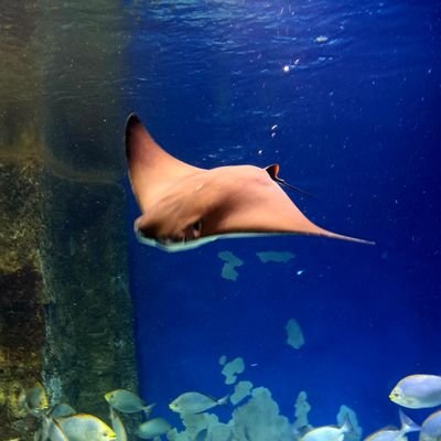 68QXz3SPjsnskpB's profile picture. миролюбивый человечек~☆