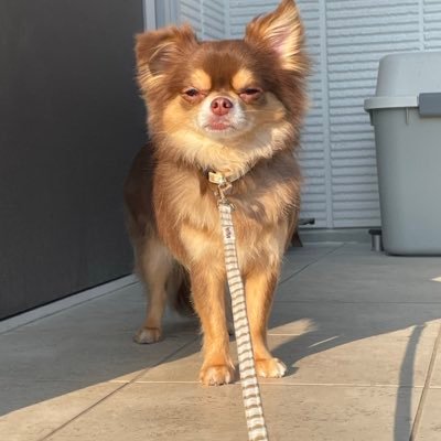 KPR7POrWai23687's profile picture. 