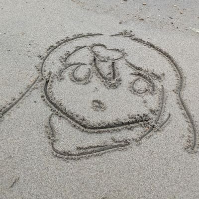 pigeon_univ's profile picture. 本垢復旧しました！！
今後は元通りにこちらはリアル垢として運用していきます。
Skeb：https://t.co/ZFg5K4Z8EH
Booth：https://t.co/Tytkx3jV1X