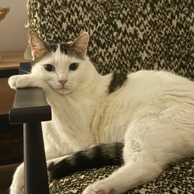 ucalimaman's profile picture. travma pozisyonlarınızı alın