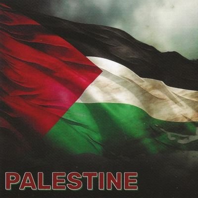 raba4553's profile picture. 