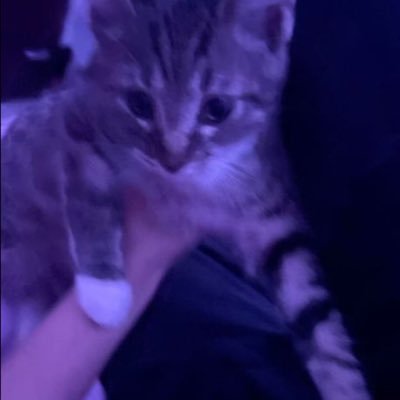 Kitk3t_'s profile picture. ;)