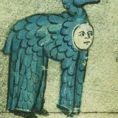 seiuchimaster's profile picture. 記憶力が悪い