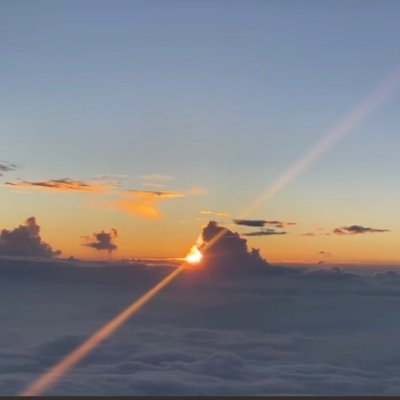 aisu0103's profile picture. 
