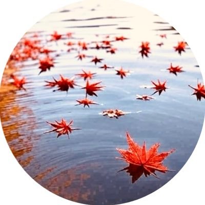 AmanamiPokeGo's profile picture. スッ…の人。飯ポスト多いけど飯アカではございません。2025/5/7広島のポケモンGOコミュニティアンバサダー就任。ギフト気まぐれ行動も気まぐれ。無言フォローしまくります。すみません😢